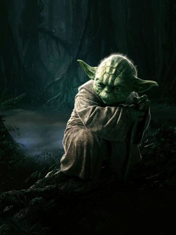 Star Wars - Magister Yoda