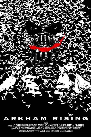 Batman - Arkham Rising
