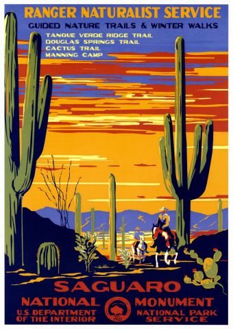 National park - Saguaro