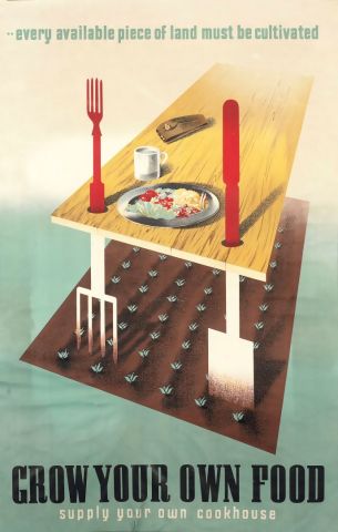 Grow your own food