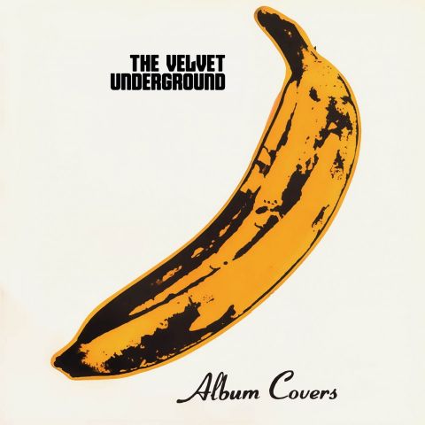 The Velvet Underground