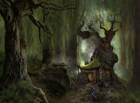 House in the woods