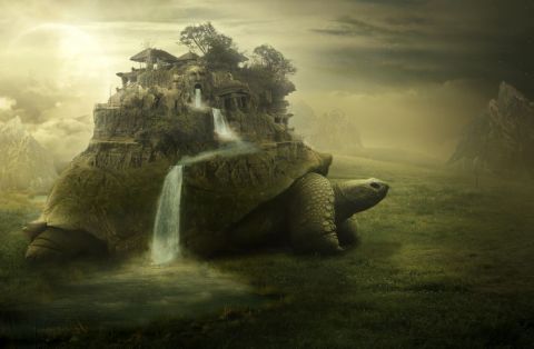 World on carapace