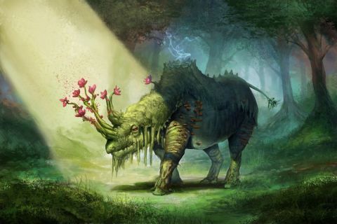 Rhinoceros