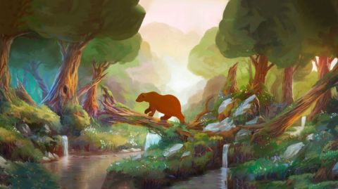 Bear