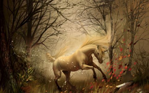 Unicorn Forest