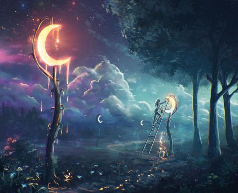 Moon Dreamer Forest