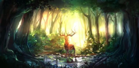 Deer and Sunlight