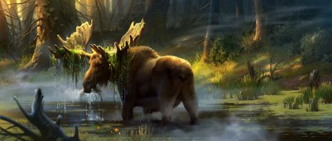 Enigmatic Deer