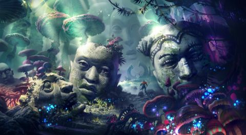 Magic Forest