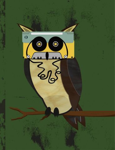 Owl