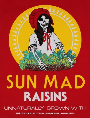 Sun Mad