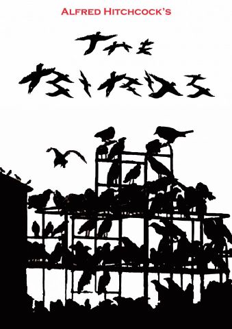 The Birds