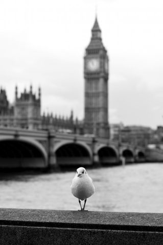 Big Ben