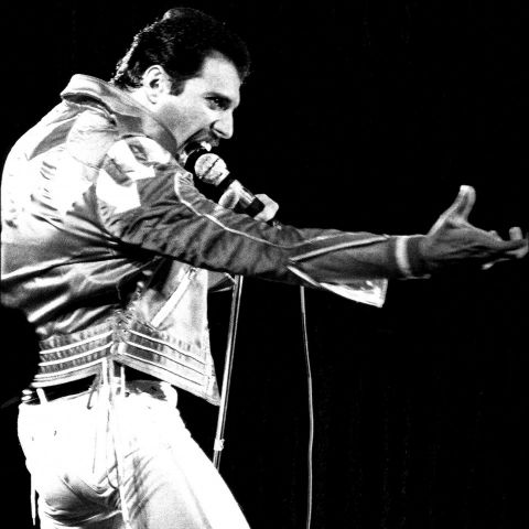 Freddie Mercury