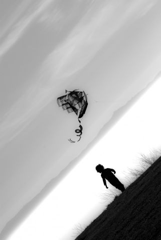 child and the kite