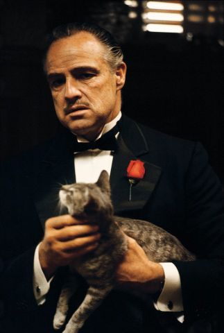 Marlon Brando (The Godfather)